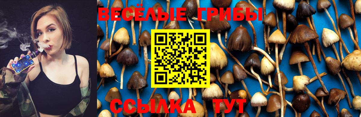 Галлюциногенные грибы Magic Shrooms  Галлюциногенные грибы MAGIC MUSHROOMS  Вход с VPN  Кумертау 